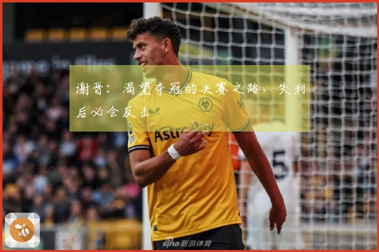 谢晋：渴望夺冠的决赛之路，失利后必会反击